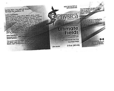 Ultimate Fields (Ultimate Fields)
